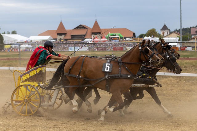 和长远的发 和长远的发